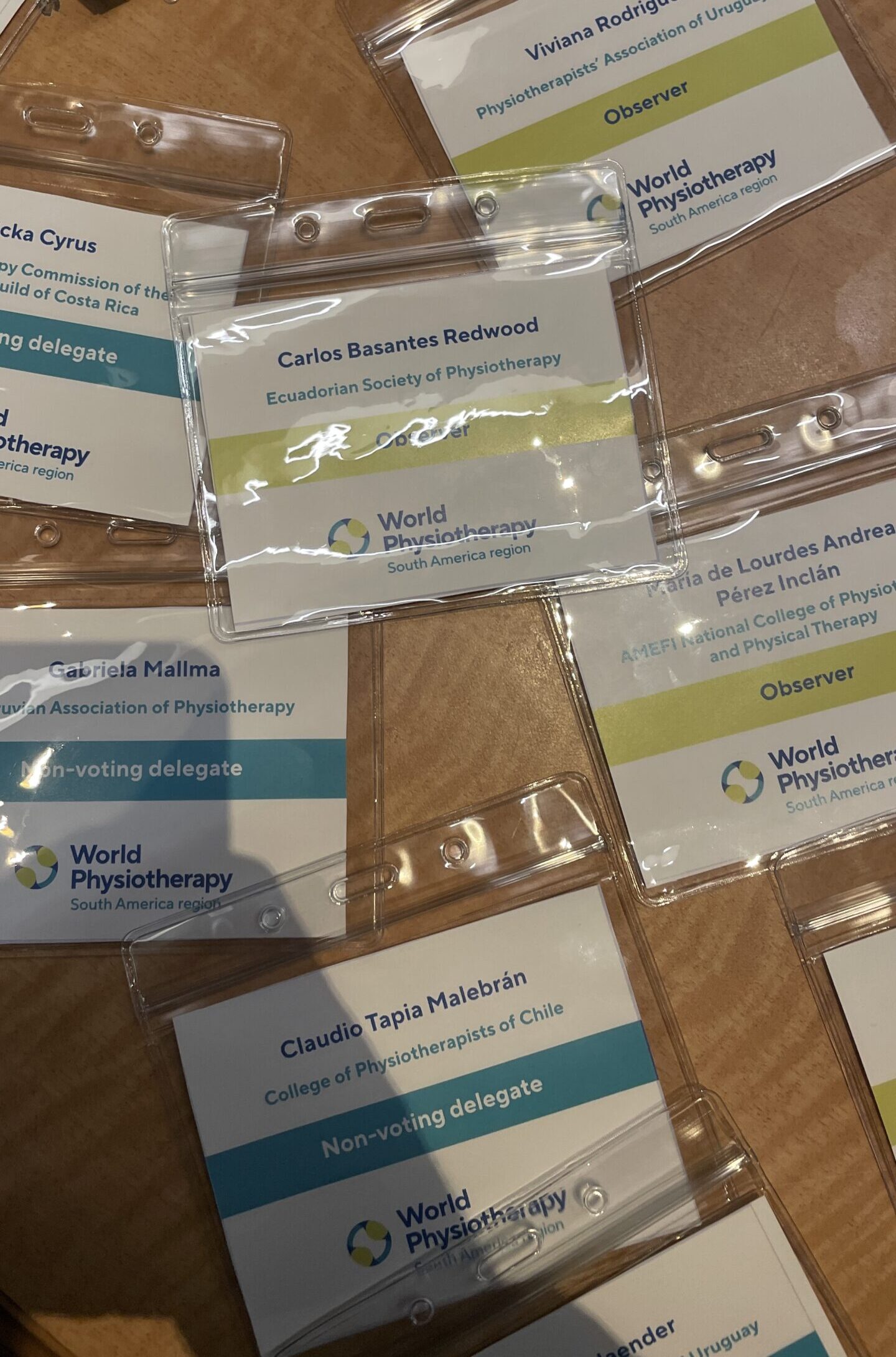 s Basantes en asamblea regional World Physiotherapy 1